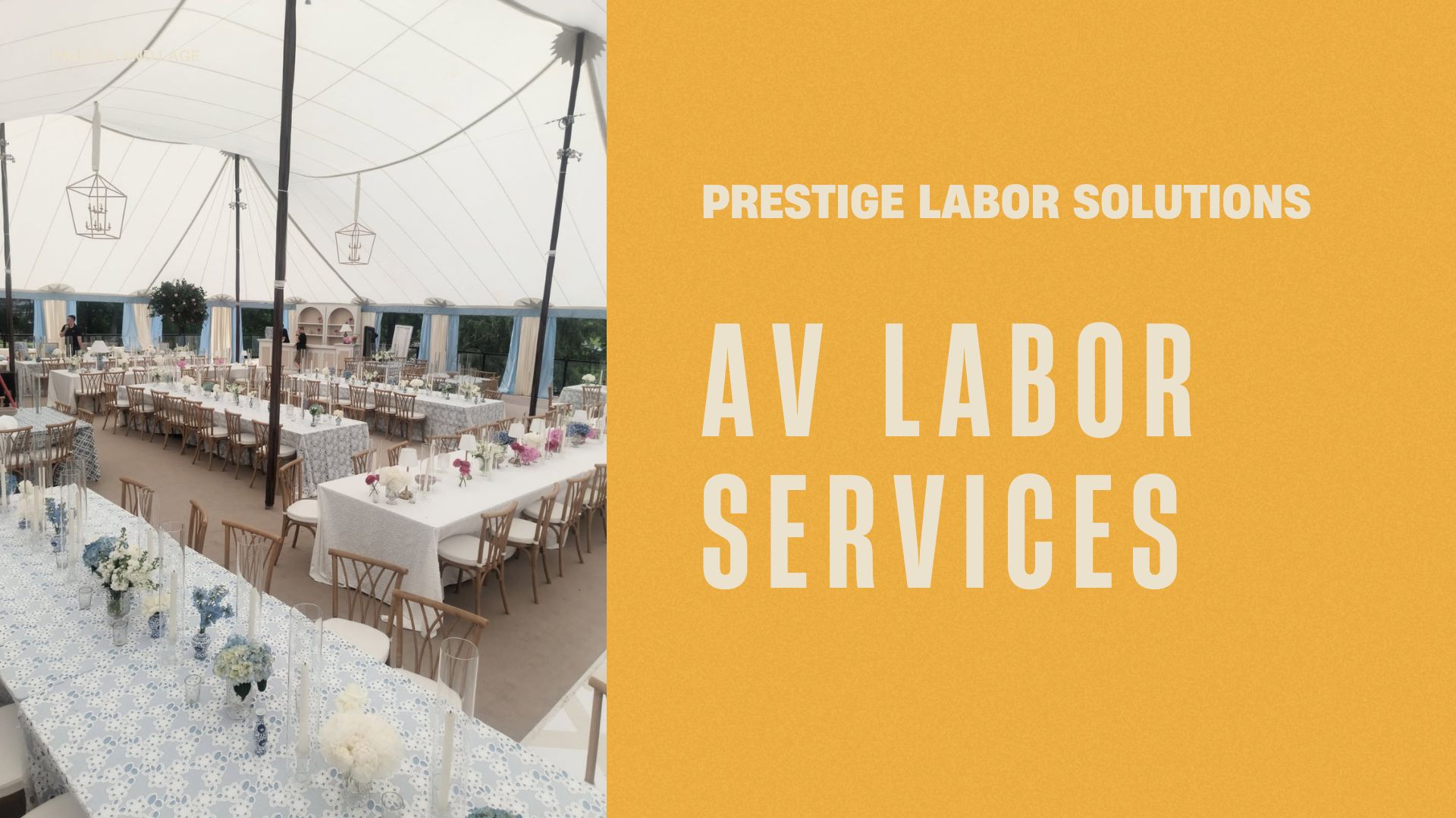 AV-Labor-Services